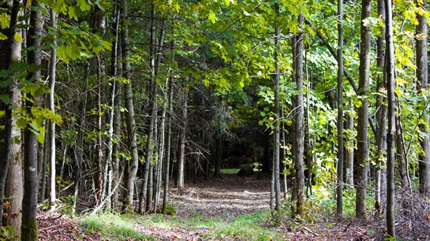Excursions en milieu isolé : la SQ appelle à la vigilance