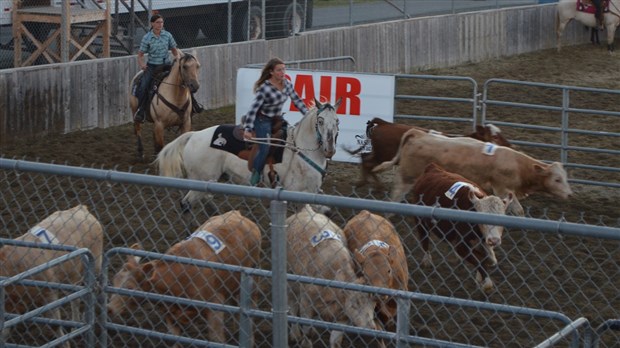 Démonstration de Team Penning à Nashville en Beauce