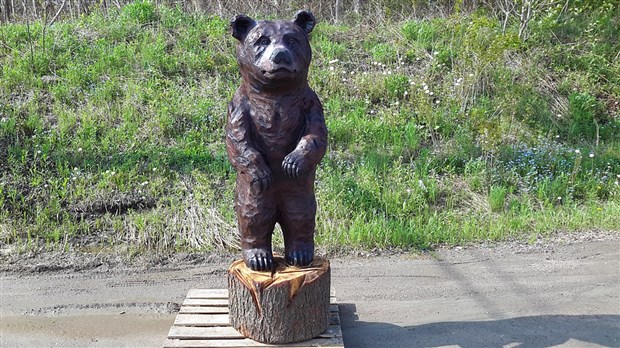 Une 11e édition pour l’Exposition forestière de Beauce le 18 septembre