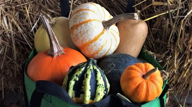 L'entreprise Aux Fruits de la colline de Sainte-Marie se distingue