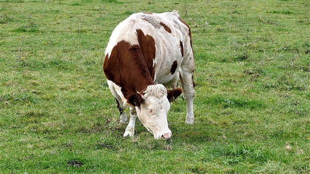 Dévoilement des activités de la Financière agricole dans la région : le gouvernement du Québec continue de s’impliquer