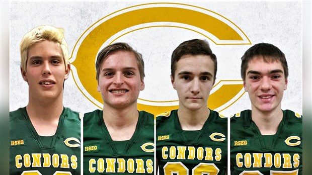 Quatre nouvelles recrues pour les Condors du Cégep Beauce-Appalaches