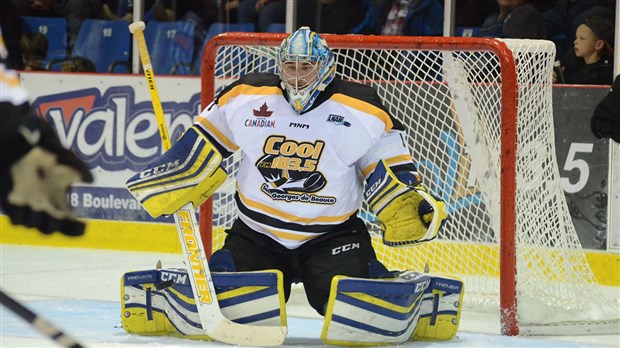Adam Russo est la première étoile de la semaine dans la LNAH