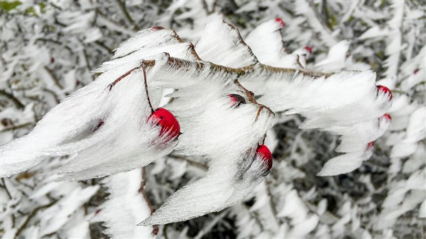 Environnement Canada met fin à son avertissement de pluie verglaçante 