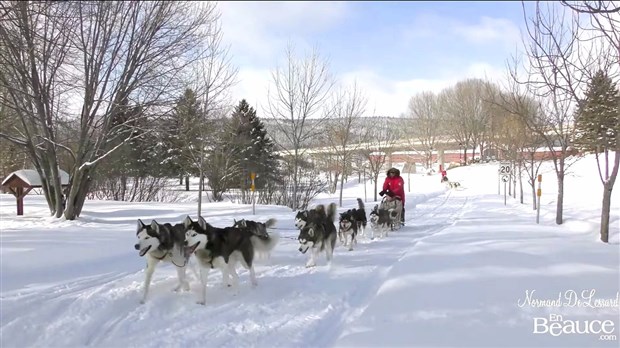 Normand DeLessard présente la Journée hivernale de Notre-Dame-des-Pins