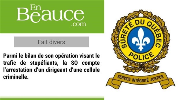 Cannabis, haschisch, Viagra, méthamphétamine et armes à feu : grosses saisies policières