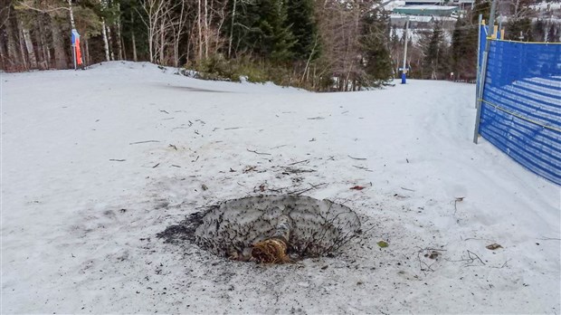 Manque de civisme au Centre de ski de Saint-Georges