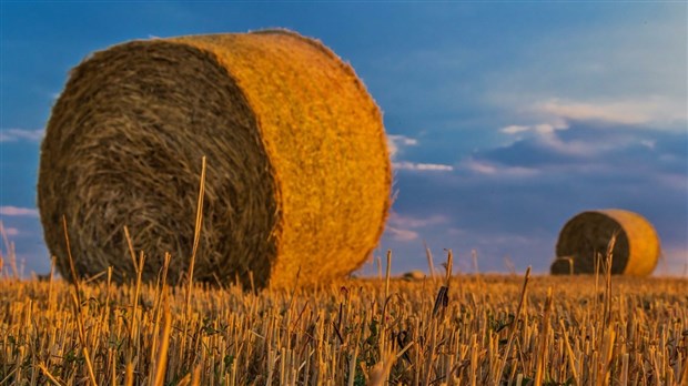 La Financière agricole du Québec dresse son bilan 2016 en Chaudière-Appalaches