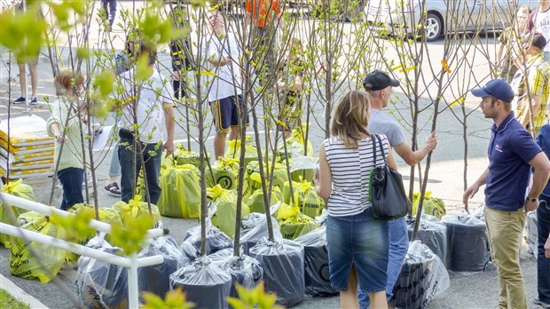 « Un arbre pour l’avenir », un concours pour embellir la ville de Saint-Georges
