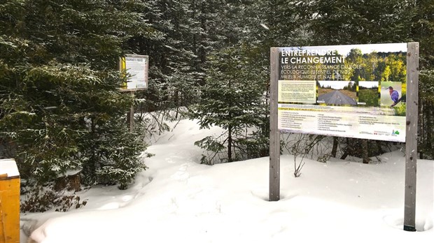 L’Association pour la protection des milieux humides de la Cumberland reconnue par Environnement Canada