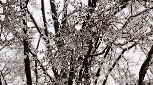 Avertissement de pluie verglaçante pour Saint-Georges, Sainte-Marie et Lac-Etchemin
