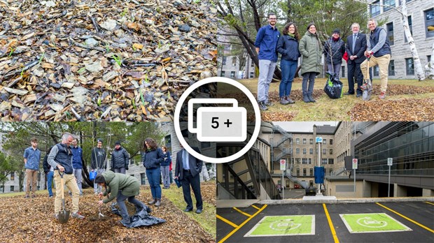 Le Cégep Beauce-Appalaches plus engagé « vert un monde durable » 