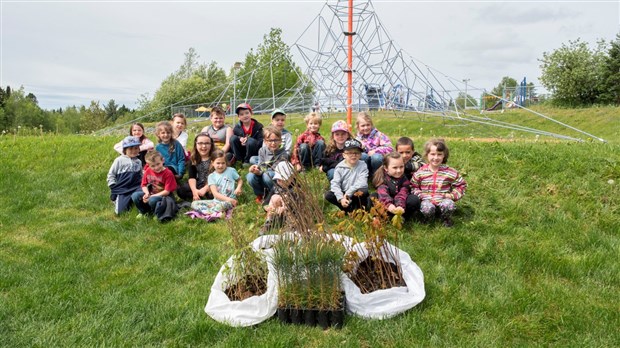 Environ 400 arbres viendront verdir la municipalité de Saint-Benoît-Labre