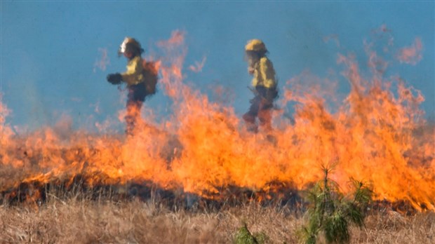 Alerte rouge dimanche pour les incendies de forêt dans la région Beauce-Appalaches
