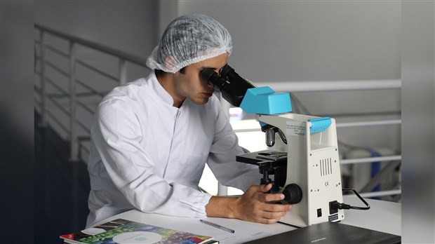 LETTRE OUVERTE | Alimentation, cannabis et environnement : la chimie professionnelle doit être actualisée et encadrée