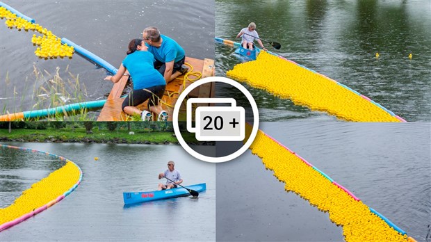 Près de 4 000 canards ont pris part à la course du Club de natation régional de Beauce 