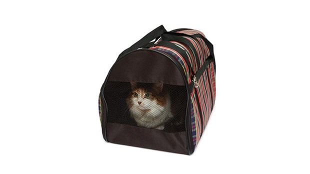 Voyager avec son animal de compagnie