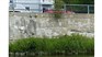 - Photo: Ville de Saint-Georges