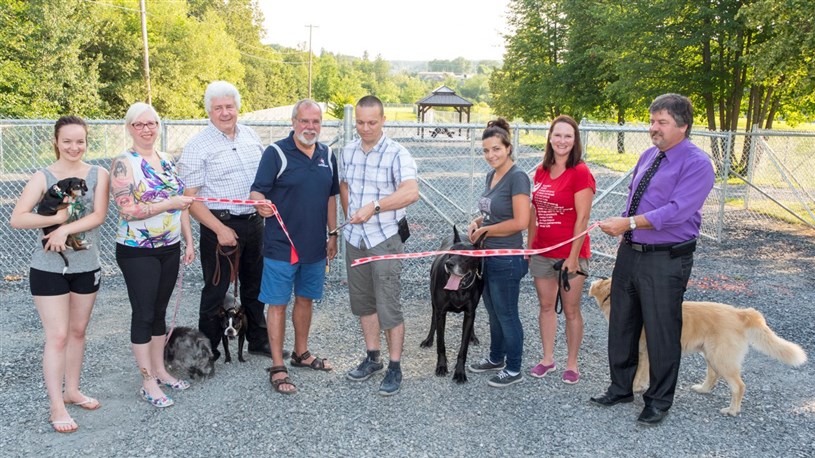 Les premiers chiens du parc canin de St-Georges tout excités par leur  espace de jeu