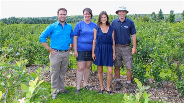 Lancement de la saison des bleuets dans la région Chaudière-Appalaches