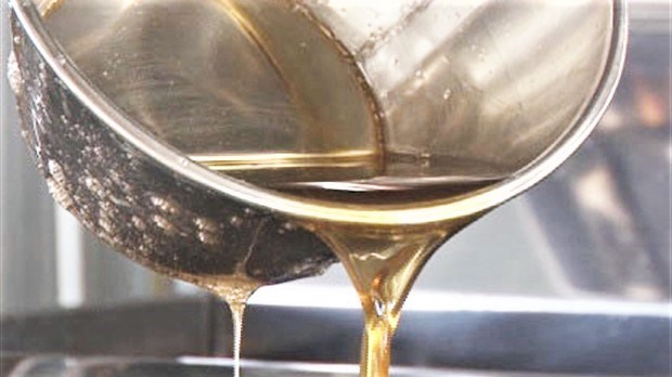 Trois conférences gratuites sur l'acériculture en Beauce cet été