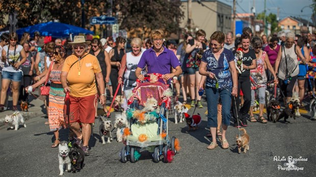 Une deuxième édition pour la Parade des poilus    