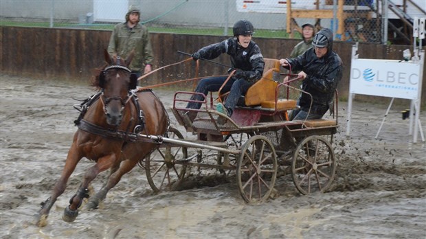 Un derby d'attelage sous une pluie battante à Nashville en Beauce