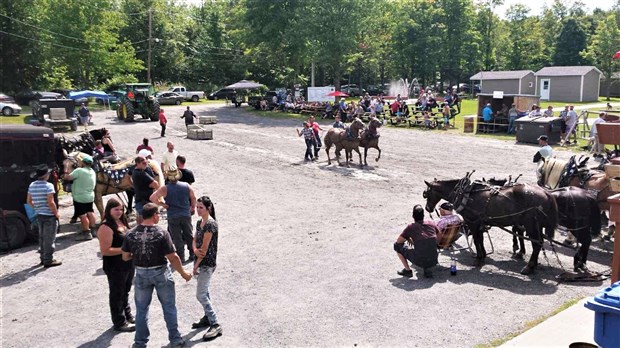Tire de poneys au Club sportif Grande-Coudée de Saint-Martin