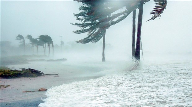 OURAGAN IRMA | Des Beaucerons sommés d'évacuer leur condo en Floride