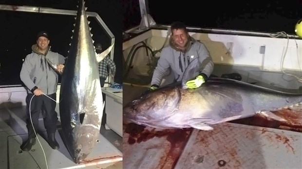 Un passionné de pêche de St-Georges remonte deux thons pour 1200 livres 