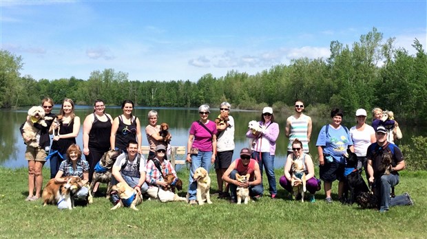 Une marche canine au profit de la SPA Beauce-Etchemin à Saint-Georges