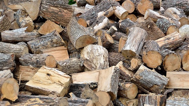 Il est important de bien choisir son bois de chauffage