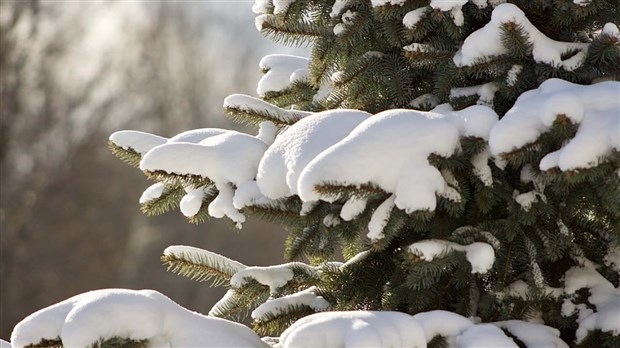 Le froid reviendra en fin de semaine