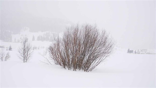 Des conditions hivernales « dangereuses » pour la Beauce et les Etchemins