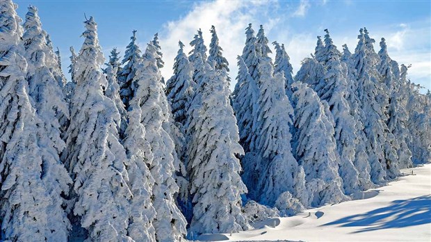 EnBeauce.com à la recherche de photos de paysages hivernaux en Beauce 