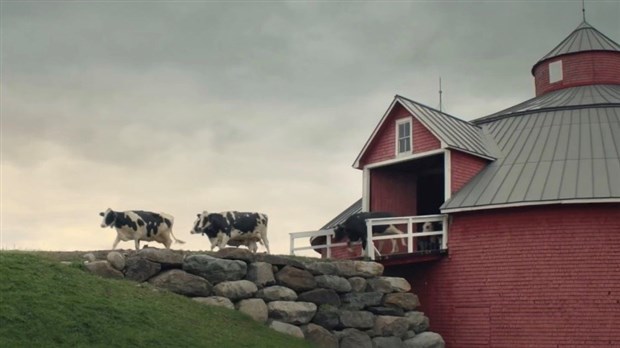 Agropur lance une nouvelle pub pour protéger son marché