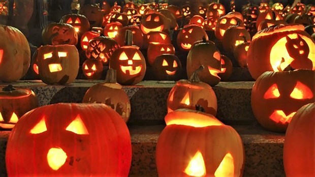 Cueillette de bonbons de Halloween : la sécurité d'abord