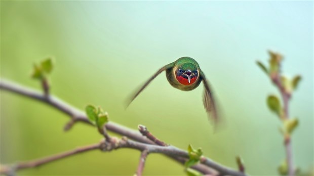 Ville St-Georges dévoile les gagnants du concours de photos Clin d'oeil sur la Beauce 