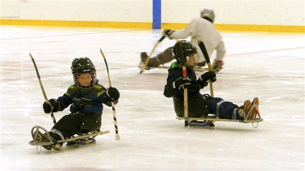 Les Lumberjacks : une ligue de hockey sur luge en Beauce