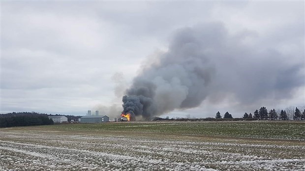 15 000 dindonneaux périssent dans les flammes à St-Bernard