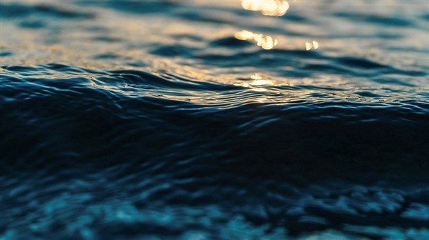 Les producteurs agricoles s’unissent pour améliorer la qualité de l’eau du bassin versant de la rivière Noire
