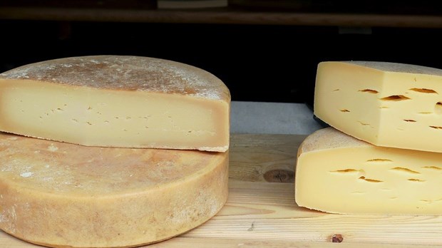 Trois fromages de la Chaudière-Appalaches remportent un prestigieux prix