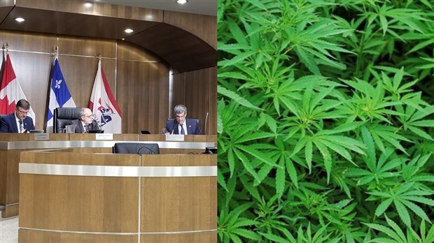 Ville St-Georges a fait adopter son règlement sur le cannabis 