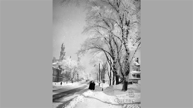 Sept nouvelles expositions hivernales au Centre culturel Marie-Fitzbach
