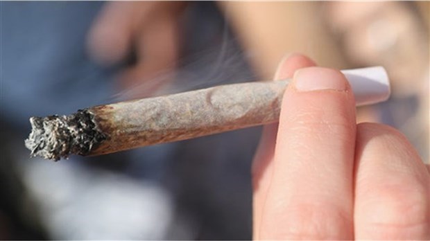 Cannabis à l’étranger: bonne ou mauvaise idée selon CAA-Québec