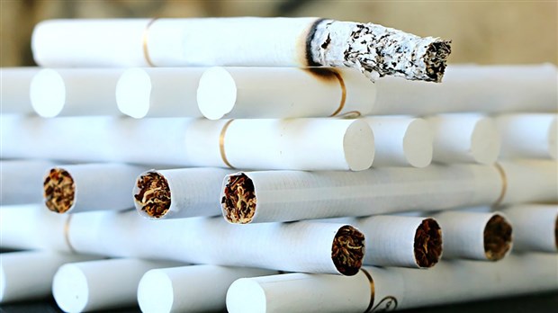 41 cartouches de 200 cigarettes de contrebande ont été saisies à Saint-Georges
