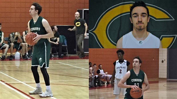 Quatrième victoire de suite pour les Condors en basketball