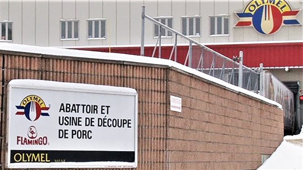 Séance d'information concernant l'embauche d'immigrants chez Olymel à Vallée-Jonction