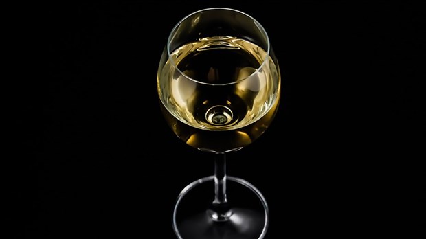 Dominique Vien est favorable au projet de loi 170 en matière d'alcool