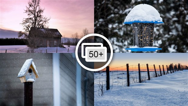 PHOTOS | L'hiver en Beauce dans toute sa splendeur (1 sur 5)